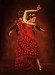 V zajetí flamenca 3